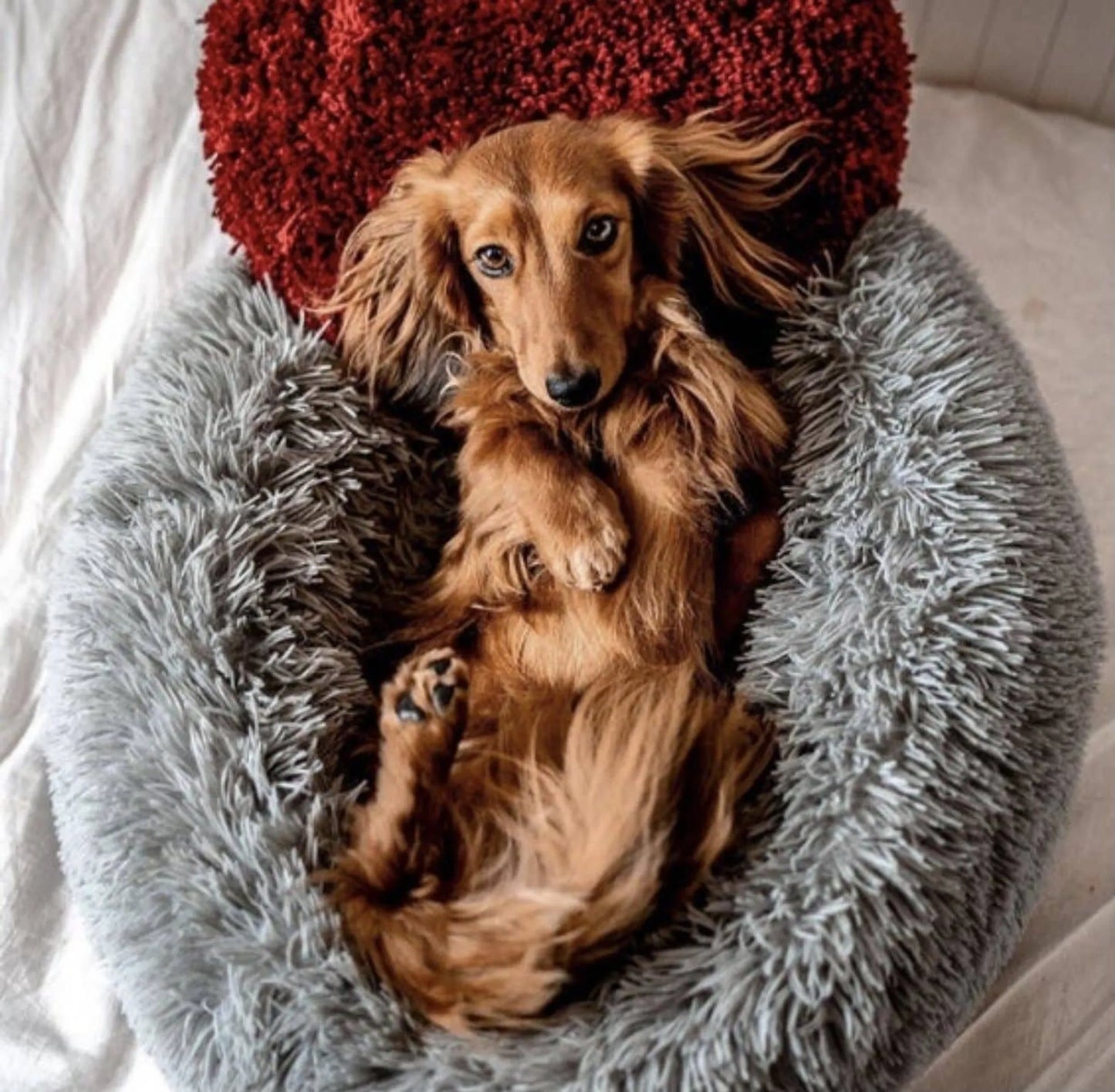 Marshmallow Pets Bed